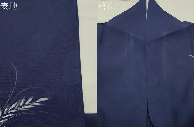 平和屋着物＊夏物 訪問着 絽 手描き 草花文 金彩 正絹 逸品 CABB0141gh