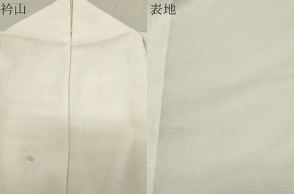 平和屋着物＊夏物 訪問着 絽 手描き 遠山飛鳥文 暈し染め 銀彩 正絹 逸品 CABB0142gh