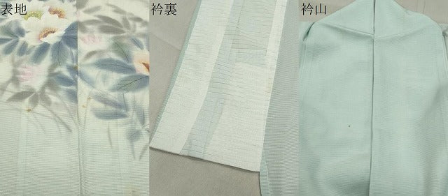 平和屋着物＊夏物 訪問着 絽 手描き 草花文 暈し染め 正絹 逸品 CABB0143gh