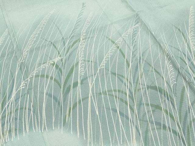 平和屋着物＊夏物 訪問着 絽 草木文 暈し染め 正絹 逸品 CABB0146gh