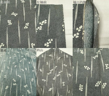 平和屋着物＊夏物 小紋 絽 舞花文 鮫小紋柄 黒地 正絹 逸品 CABB0147gh