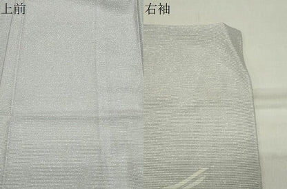 平和屋着物＊夏物 訪問着 絽 手描き 休み鳥 暈し染め 正絹 逸品 未使用 CABB0150gh