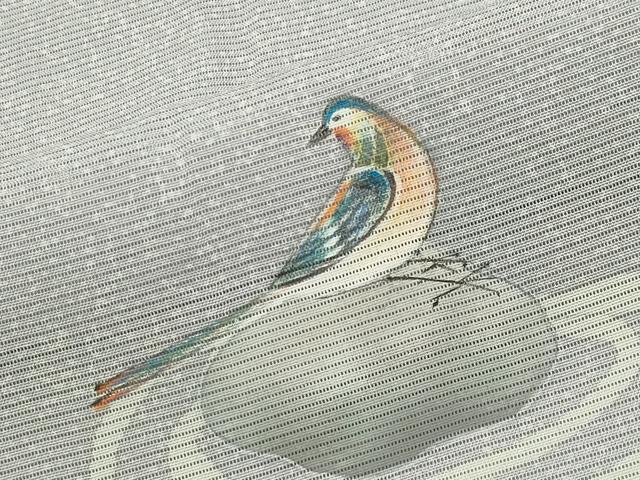 平和屋着物＊夏物 訪問着 絽 手描き 休み鳥 暈し染め 正絹 逸品 未使用 CABB0150gh