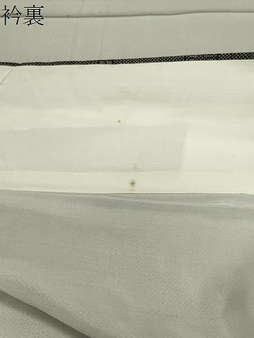 平和屋着物●本場大島紬 9マルキ 風景花文 そごう百貨店扱い 正絹 逸品 CABB0163gh