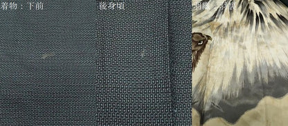 平和屋着物●男性 本場大島紬 アンサンブル 100亀甲 総詰め 正絹 逸品 未使用 CABB0249gh
