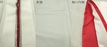 平和屋着物●訪問着 舞桜文 金彩 スパンコール 胴抜き仕立て 洗える着物 CABB0337gh