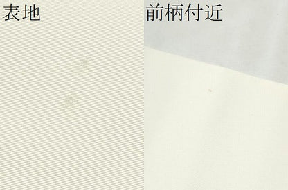 平和屋着物●塩瀬　九寸名古屋帯　作家物　手描き　枝花文　金彩　正絹　逸品　CABB0457hy