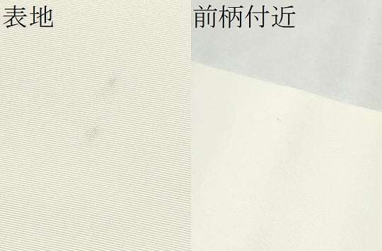 平和屋着物●塩瀬　九寸名古屋帯　作家物　手描き　枝花文　金彩　正絹　逸品　CABB0457hy