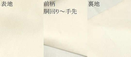 平和屋着物●塩瀬　九寸名古屋帯　作家物　手描き　枝花文　正絹　逸品　CABB0605hy