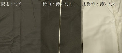 平和屋着物■豪華黒留袖　作家物　深雪山　醍醐寺　正絹　逸品　CABB1267in