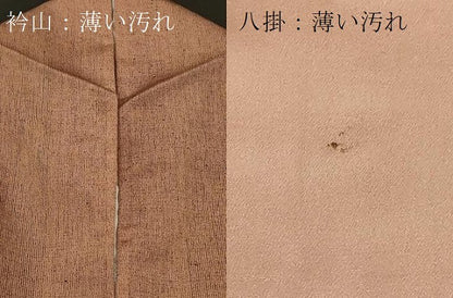 平和屋着物■上質な紬 霞文 正絹 逸品 CABB1304in