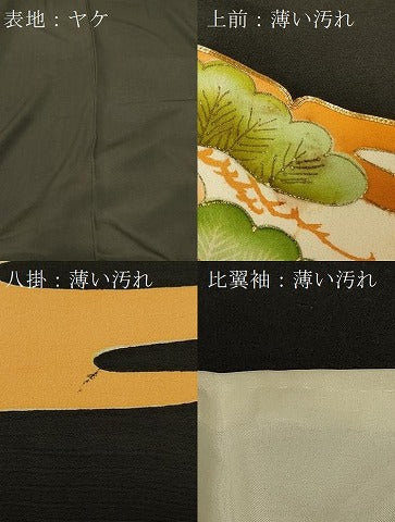 平和屋着物■豪華黒留袖 駒刺繍 御所車地紙花鳥文 金銀彩 正絹 逸品 CABB1311in