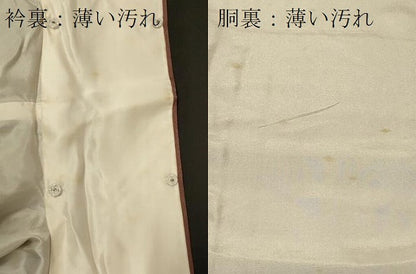 平和屋着物■訪問着　草花文　牡丹　金彩　正絹　逸品　CABB1419in