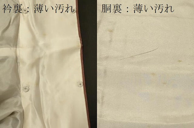 平和屋着物■訪問着　草花文　牡丹　金彩　正絹　逸品　CABB1419in