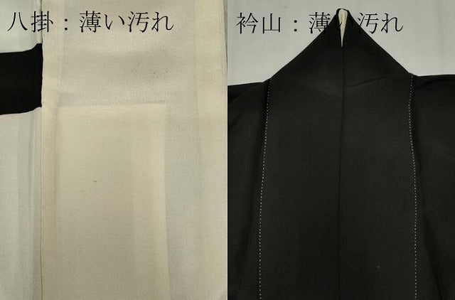 平和屋着物■豪華黒留袖 作家物 手描き 風景樹林文 暈し染め 金彩 正絹 逸品 CABB1694ou