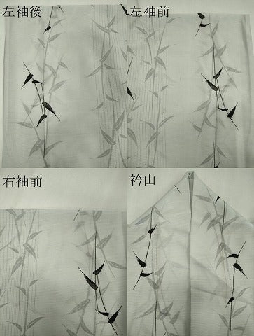 平和屋着物＊夏物 小紋 絽 枝葉文 洗える着物 CABB1708ou
