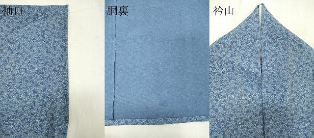 平和屋着物＊夏物 小紋 絽 枝葉尽くし 正絹 逸品 CABB1725ou