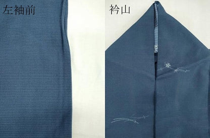 平和屋着物＊夏物 小紋 絽縮緬 草花文 金彩 正絹 逸品 CABB1727ou