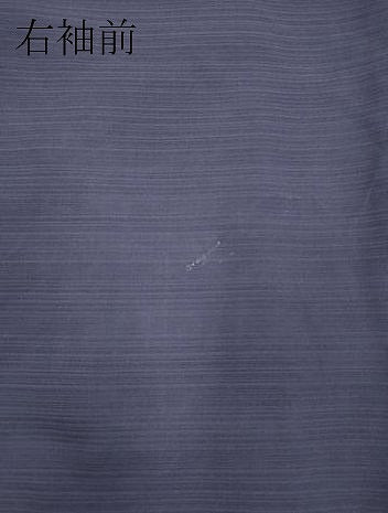 平和屋着物＊夏物 色無地 変わり絽 深紫色 正絹 逸品 未使用 CABB1728ou