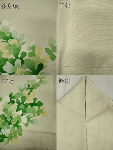 平和屋着物＊夏物 訪問着 絽 草葉文 暈し染め 正絹 逸品 CABB1729ou