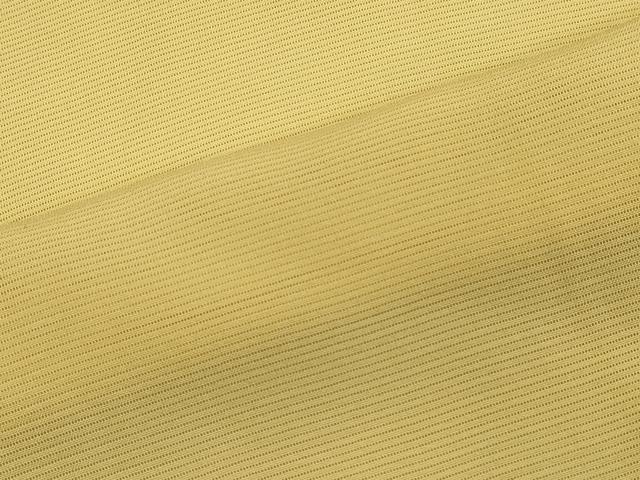 平和屋着物＊夏物　色無地　絽　蒸栗色　正絹　逸品　CABB1734ou 平和屋着物＊夏物 色無地 絽 蒸栗色 正絹 逸品 CABB1734ou