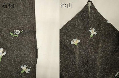 平和屋着物＊夏物 小紋 絽 舞花文 たたき染め 金彩 正絹 逸品 CABB1735ou