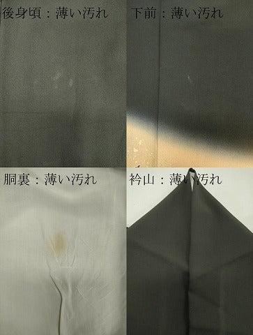 平和屋着物■豪華黒留袖 作家物 吉祥草花文 金彩 正絹 逸品 CABB1740ou