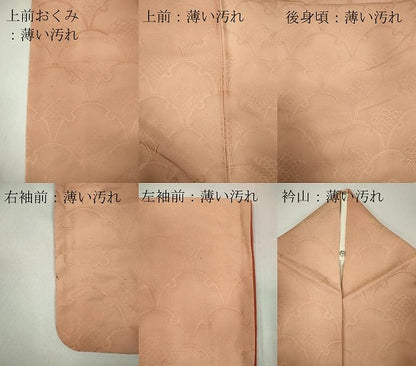 平和屋着物■上質な小紋　雪輪青海波地紋　暈し染め　正絹　逸品　CABB1794ou