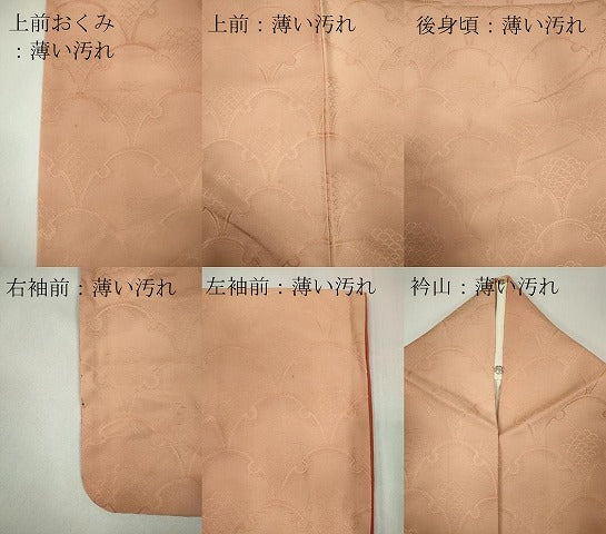 平和屋着物■上質な小紋　雪輪青海波地紋　暈し染め　正絹　逸品　CABB1794ou