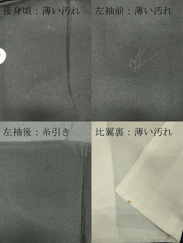 平和屋着物■豪華黒留袖 刺繍 尾長鳥枝葉文 暈し染め 金彩 正絹 逸品 CABB1959ou
