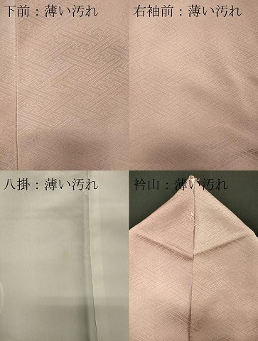 平和屋着物■訪問着 駒刺繍 檜扇花文 暈し染め 金銀糸 正絹 逸品 CABB1996ou
