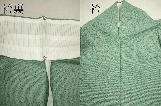 平和屋着物＊夏物 訪問着 絽 草花文 たたき染め 銀彩 正絹 逸品 CABB2074ze
