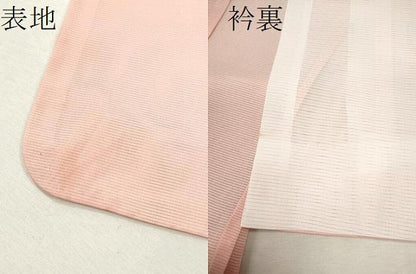平和屋着物＊夏物 訪問着 絽 バラ 舞蝶文 金彩 洗える着物 CABB2082ze