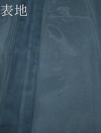 平和屋着物＊夏物　訪問着　絽　網目笹文　洗える着物　CABB2095ze 平和屋着物＊夏物 訪問着 絽 網目笹文 洗える着物 CABB2095ze