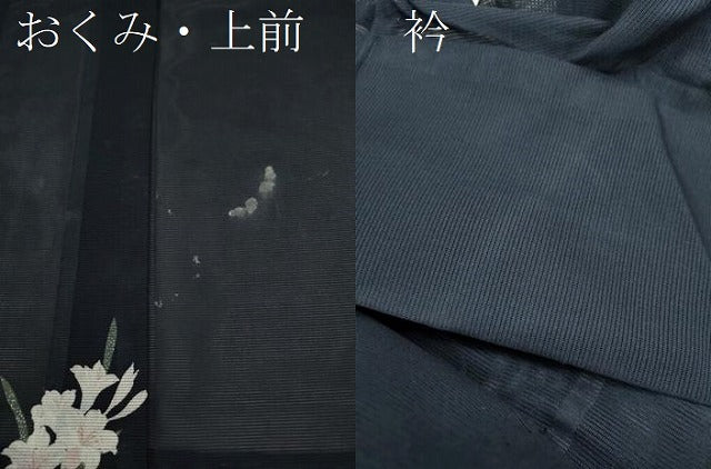 平和屋着物＊夏物 小紋 絽 草花文 洗える着物 CABB2104ze