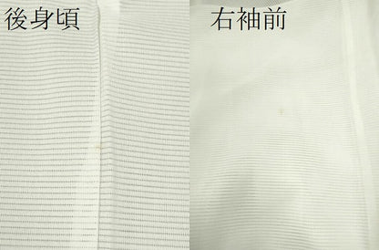 平和屋着物＊夏物 長襦袢 絽 単衣 洗える着物 CABB2113ze