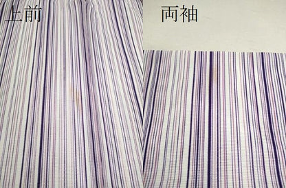 平和屋着物＊夏物 小紋 絽 縞 洗える着物 CABB2115ze