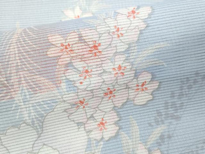平和屋着物＊夏物 小紋 絽 草花文 洗える着物 CABB2132ze