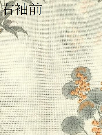 平和屋着物＊夏物 小紋 絽 草花文 洗える着物 CABB2154ze