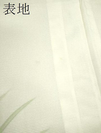平和屋着物＊夏物 訪問着 絽 燕子花 金彩 洗える着物 CABB2166ze