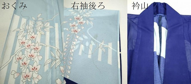 平和屋着物＊夏物　訪問着　絽　枝藤文　洗える着物　CABB2169ze 平和屋着物＊夏物 訪問着 絽 枝藤文 洗える着物 CABB2169ze
