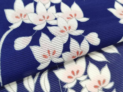 平和屋着物＊夏物 訪問着 絽 枝藤文 洗える着物 CABB2169ze
