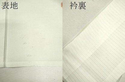 平和屋着物＊夏物 訪問着 絽 草花文 金彩 正絹 逸品 CABB2180ze