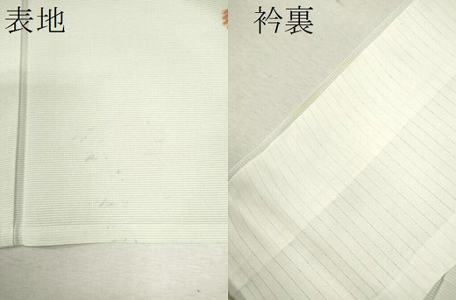 平和屋着物＊夏物 訪問着 絽 草花文 金彩 正絹 逸品 CABB2180ze