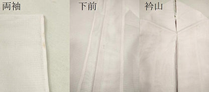 平和屋着物＊夏物 訪問着 絽 枝花文 洗える着物 CABB2218ze