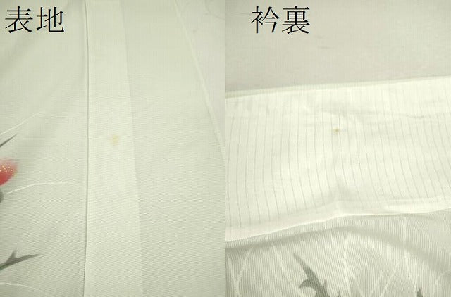平和屋着物＊夏物 訪問着 絽 枝花文 正絹 逸品 CABB2229ze