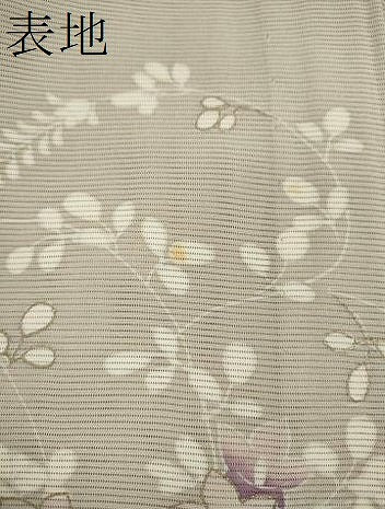 平和屋着物＊夏物 訪問着 草花文 金彩 正絹 逸品 CABB2231ze