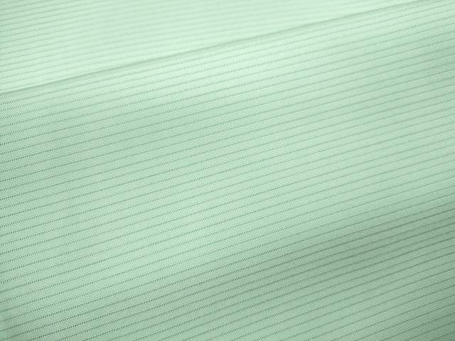 平和屋着物＊夏物 色無地 絽 白緑色 正絹 逸品 CABB2233ze
