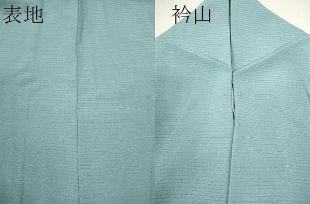 平和屋着物＊夏物 本加賀友禅作家 梶山伸監修 色無地 絽縮緬 浅縹色 正絹 逸品 CABB2236ze