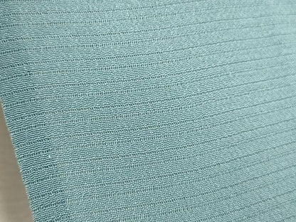 平和屋着物＊夏物 本加賀友禅作家 梶山伸監修 色無地 絽縮緬 浅縹色 正絹 逸品 CABB2236ze
